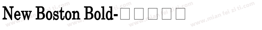 New Boston Bold字体转换